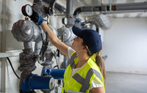Best Water Softener Installation  in Lexington, MN