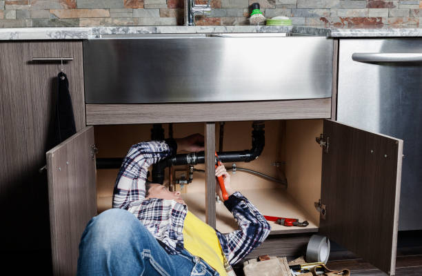 Best Plumbing Inspection Services  in Lexington, MN